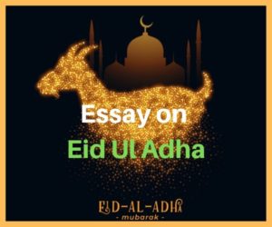 essay in urdu eid ul adha